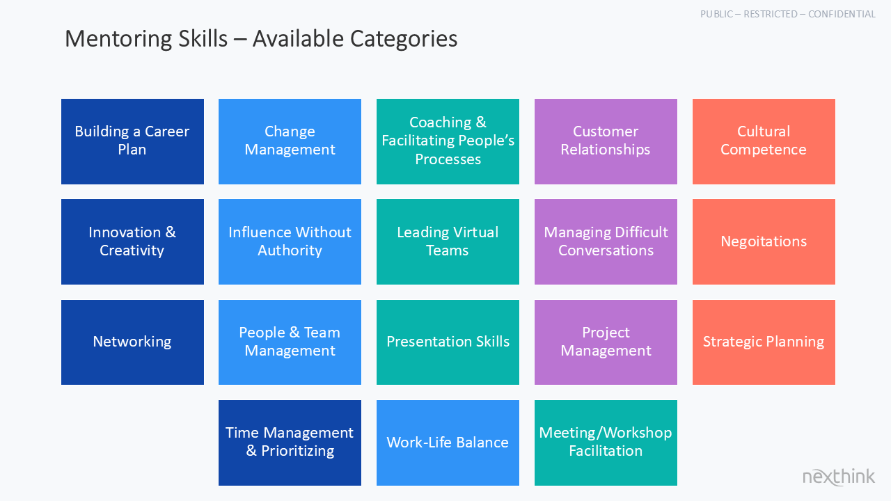 Mentor Skills.png